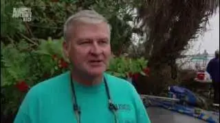 Синее царство: 