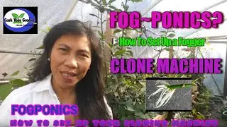 FOGPONICS - HOW TO SET UP A FOGGER CLONING MACHINE. EASIEST METHOD OF PROPAGATION