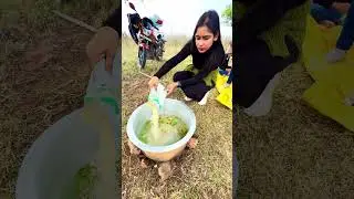 Banabhoji 2024