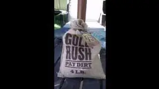 Gold Rush 4 lb Premium Pay dirt results .81 grams