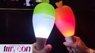 I Was Front Row to the Most EPIC #KPOP Concert EVER!!  MAMAMOO 마마무 [MY CON US Tour] at Nashville, TN