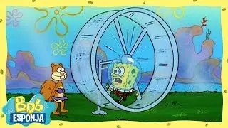 Rotina de treino da Sandy | Bob Esponja em Português