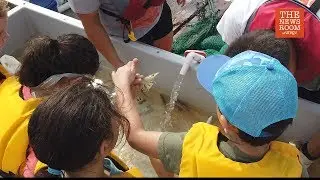 UTRGV Marine Science Summer Camp offers closeup look at marine life