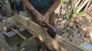 Rob Ley in Ailby Ash Holt wood