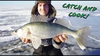 Manitoba Walleye CATCH and COOK! (The BEST fish sauce EVER!)