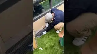 Balcony Artificial Turf#artificialgrassexperts #landscape #homedecor #artificialturf