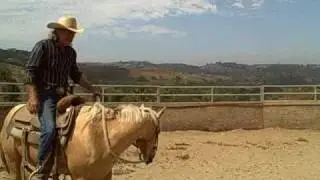 One rein stop part one, David Lee Archer