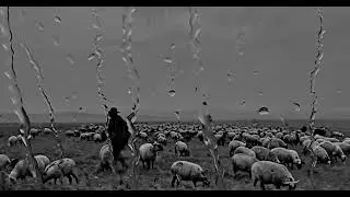 B&eacute;la Tarr &mdash; The Turin Horse - Quotes + Original Video Edit