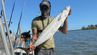 Kingfish is so satisfying to catch