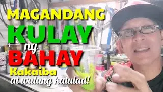 PAANO MAGTIMPLA NG IBAT-IBANG KULAY PARA SA PINTURA NG BAHAY I DA HUSTLER'S TV