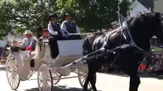 2016 Benson, NC Mule Days Parade Highlights