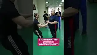 Система боевого выживания Кадочникова. ЭТО УПРАЖНЕНИЕ. #systema#martialarts#history