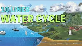10 Lines on Water Cycle | Short Essay on Water Cycle in English