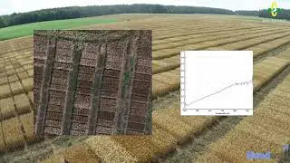 Automatische Bonitur per Drohne - Hyperspektralsensor im Einsatz