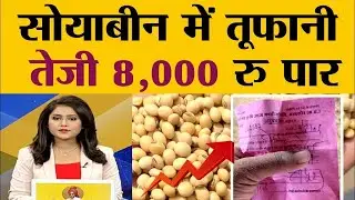 17 जनवरी 2026 aaj ka soybean bhav, soyabean ka bhav, soya ka rate, soybean mandi bhav,soya plant