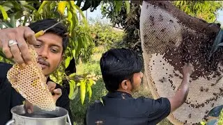मधुमक्खी के हमले से कैसे बचें || how to avoid a bee attack 🔥🔥