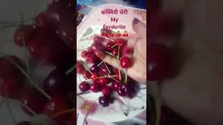 #shayari #motivation #compassion #comedy very nice 🙂 My favourite charry 🍒🍒🍒🍒🍒🍒🍒🍒🍒🍒🍒🍒🍒🍒🍒🍒🍒🍒🍒🍒🍒