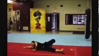 Master Zhongqin Shi Introduction