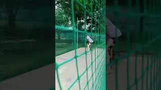 Yamuna Sports Complex [Nets] #cricket #shorts