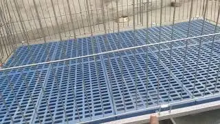 Kennel Mats / Floor Matt/ Goat Farming Floor Matt/ Palate 