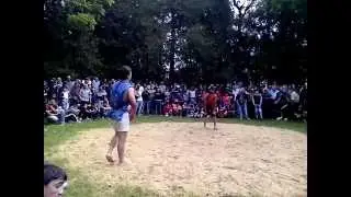 maisobis lomi ketili mdevi (lurji choxit) shilda 20.05.2014