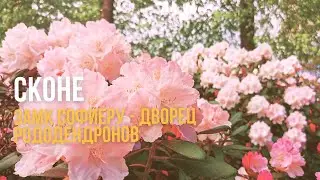 Vlog. Sweden🇸🇪. Helsingborg. Sofiero Slott. Швеция. Софиеру - дворец рододендронов.