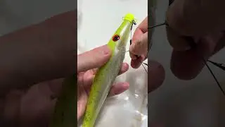 Pig Shad 9 Rigging a Big Lure for Big Pike | Strike Pro Оснащення великої приманки для великої щуки.