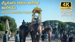 ಮೈಸೂರು ಆನೆಗಳ ತಾಲೀಮು ಲೈವ್ | Dasara Elephants Talim Live 2025 #mysore 🐘...
