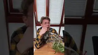 Dieser eine Lehrer, der bei Klausuren immer zu laut ist | Jonas Ems #Shorts