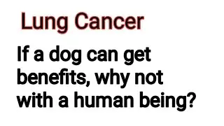 Lung Cancer, Alternative complementary massage therapy, massage therapy is a real immunotherapy