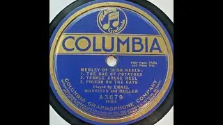 Medley of reels: Witch Of The Wave, Half Penny Reel, Speed The Plow, Parnell's Reel = Joseph Samuels