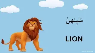 Wild Animals in Sindhi