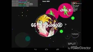 TROLL AFK | AMAZING POPSPLIT | BLOB