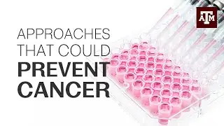 Can breast cancer be stopped by targeting the stem cells?