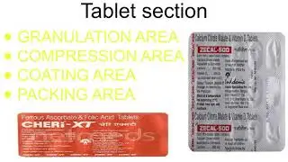 Industrial training for B pharmacy student