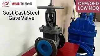Gost Cast steel Gate valve