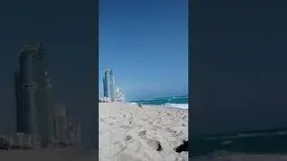 Birds with me at haulover nude beach