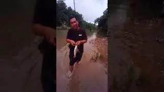 TOP WATER ATTACK BY ENGLURE 7CM #hampalajogja #mancing #predatorfish #mancingmania #shorts