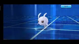 Digimon Rearise Pukamon