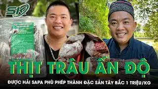 Thịt trâu Ấn Độ thành ‘đặc sản Tây Bắc’ giá 1 triệu đồng/kg qua lời quảng cáo của Hải Sapa | SKĐS