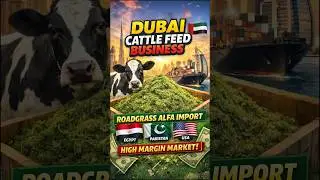Dubai Cattle Feed Business | Roadgrass Alfa Import from Egypt, Pakistan & USA | High Margin Market