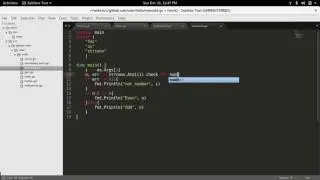 How to write program for even or odd with command line input with golang