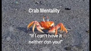 Crab Mentality || If I can&rsquo;t have it neither can you! || Metaphor of the crabs in the bucket