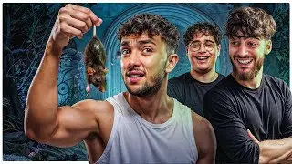 JE ME FAIS REVEILLER PAR UN RAT EN STREAM (c'est pas une vanne) Bronze &agrave; Platine sur LOL #7