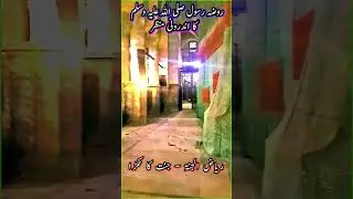 Inside the ROZA e RASOOL ﷺ 🕌 (Riaz ul Jannah) Jannat ka Tukda - Masjid e Nabawi روضہ رسول