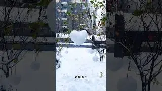 Have you seen the heart-shaped snowball #love #snowfall #christmas #funny