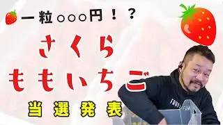 【超高級】さくらももいちご当選発表！！