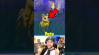 *НОВОЕ* ОБМАН с питомцами Fortnite!?
