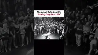 Barking dog dont bite:#music #life #naturetruth #naturewhisper #facts #shorts