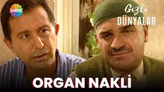 Gizli Dünyalar | Organ Nakli